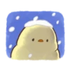 Soft and cute chick winter 6