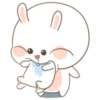 Puffy Bear and Rabbit PUDEL 8