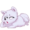 Sturdy Dog 7