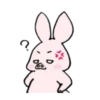Sweet Piggy Bunny 11