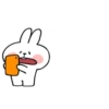 Spoiled rabbit small 6