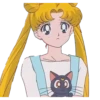 Sailor Moon 11