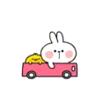 Spoiled rabbit small 7