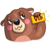 Honey Bear 9