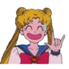 Sailor Moon 12