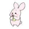 Sweet Piggy Bunny 13