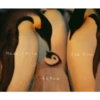 Athéna's Pinguin 9