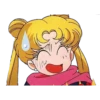 Sailor Moon 13