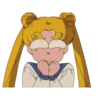 Sailor Moon 14