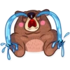 Honey Bear 11