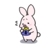 Sweet Piggy Bunny 14