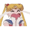 Sailor Moon 15