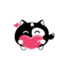 Lovely black cat 10