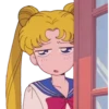 Sailor Moon 17