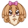 Bunny 12