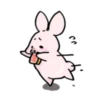Sweet Piggy Bunny 17