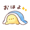 Soft and cute chick winter 16