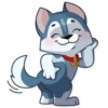 Archie the Dog 11