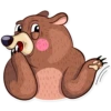 Honey Bear 13
