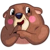 Honey Bear 14
