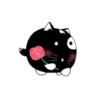 Lovely black cat 12