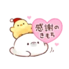Soft and cute chick winter 17