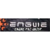Engwe Engine Pro Group 14