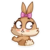 Bunny 17