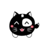 Lovely black cat 13