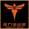 Engwe Engine Pro Group 15