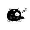 Lovely black cat 15