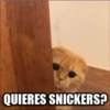 Michis 4 9