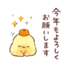 Soft and cute chick winter 20
