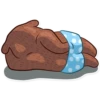Honey Bear 16