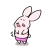 Sweet Piggy Bunny 22
