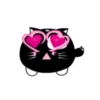 Lovely black cat 16
