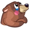 Honey Bear 17
