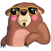 Honey Bear 18