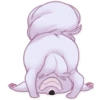 Sturdy Dog 22