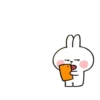 Spoiled rabbit small 10
