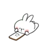 Spoiled rabbit small 11