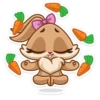 Bunny 20