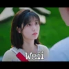 Bufkin Xing Fei 19