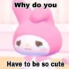 Why do you
Have to be so cute