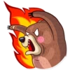 Honey Bear 20