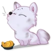 Sturdy Dog 24