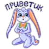 BunnyToby 26