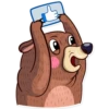 Honey Bear 21