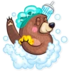 Honey Bear 23