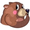 Honey Bear 27